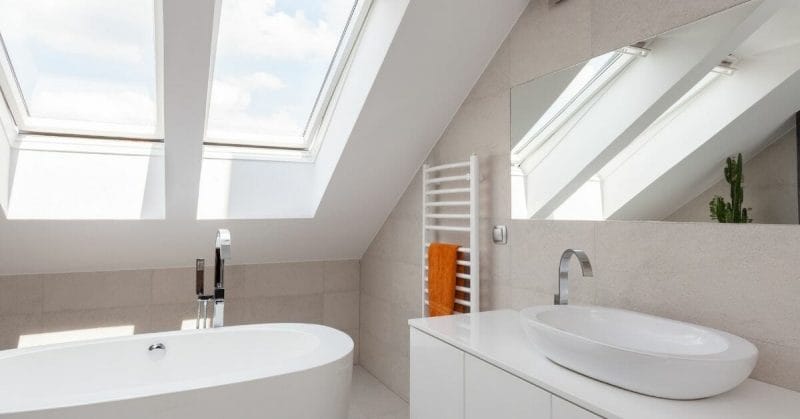 bathroom with skylight